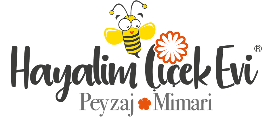 Hayalim Peyzaj