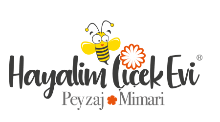 hayalimpeysaj logo